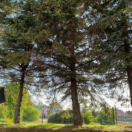 Apartament Pod Swierkiem Jastrzębia Góra Exterior foto
